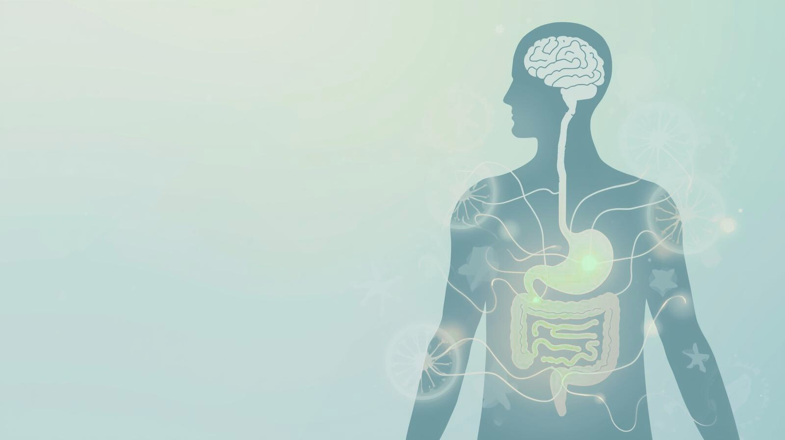 Illustration of the gut–brain connection showing how gut health affects mood and anxiety.